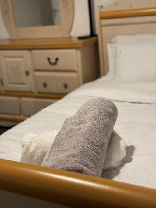 Cozy 3-Bed House In Leicester City Centre Extérieur photo